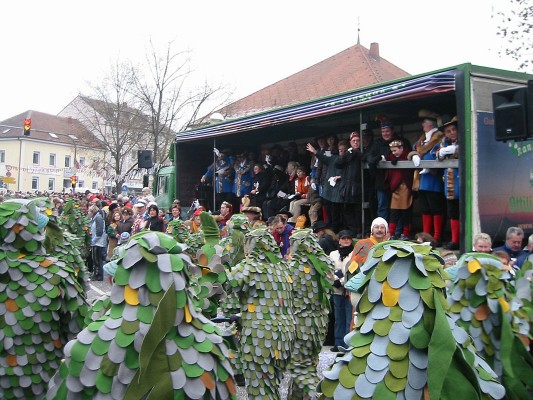 ../Images/2005-01-16_Narrenverein in Gottmadingen_022.jpg